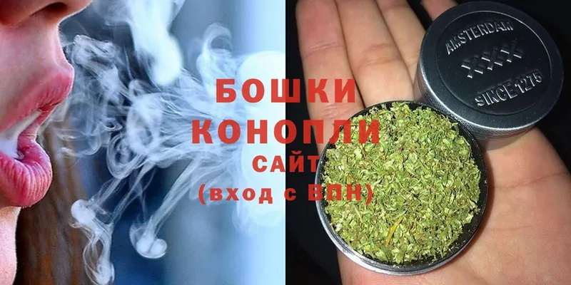 Бошки Шишки LSD WEED  блэк спрут ТОР  Нефтекумск 